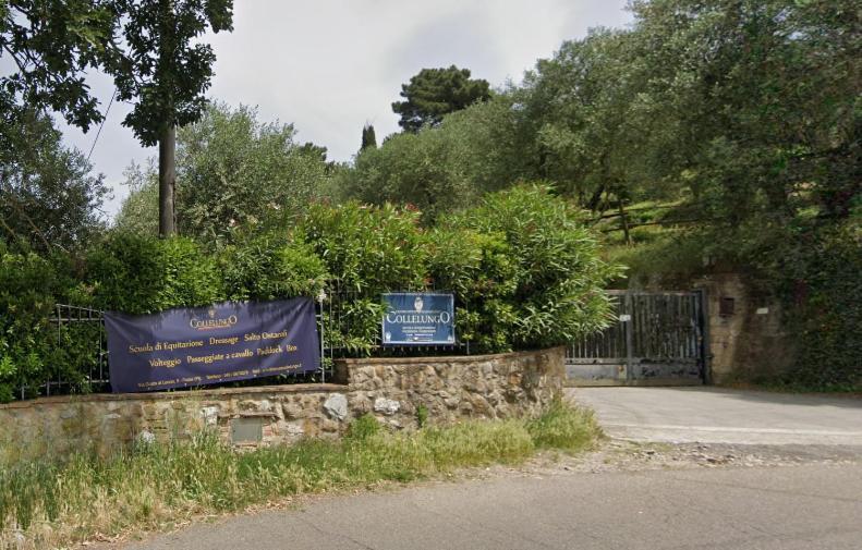 Appartamenti La Rocca Palaia Eksteriør billede